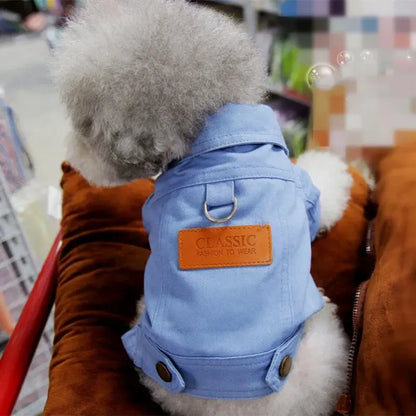 Spring Dog Denim Coat