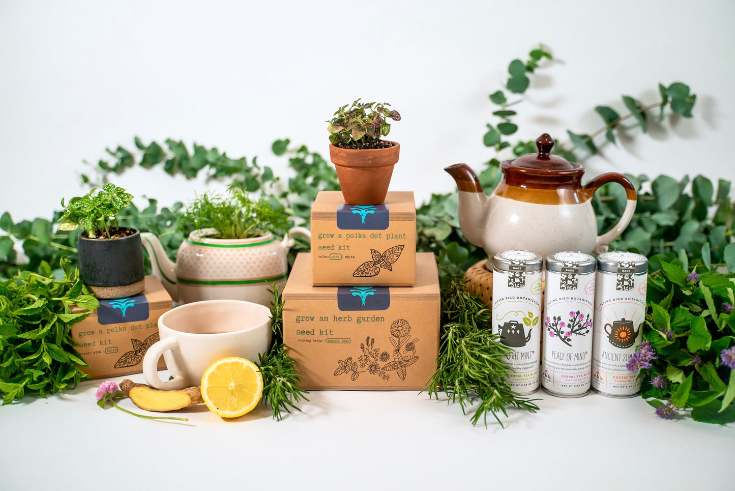 Build Your Own Custom Growing Gift Box with Garden Kit, Plant Kit, Organic Tea & Meditation Card of Your Choice - - Gift Box