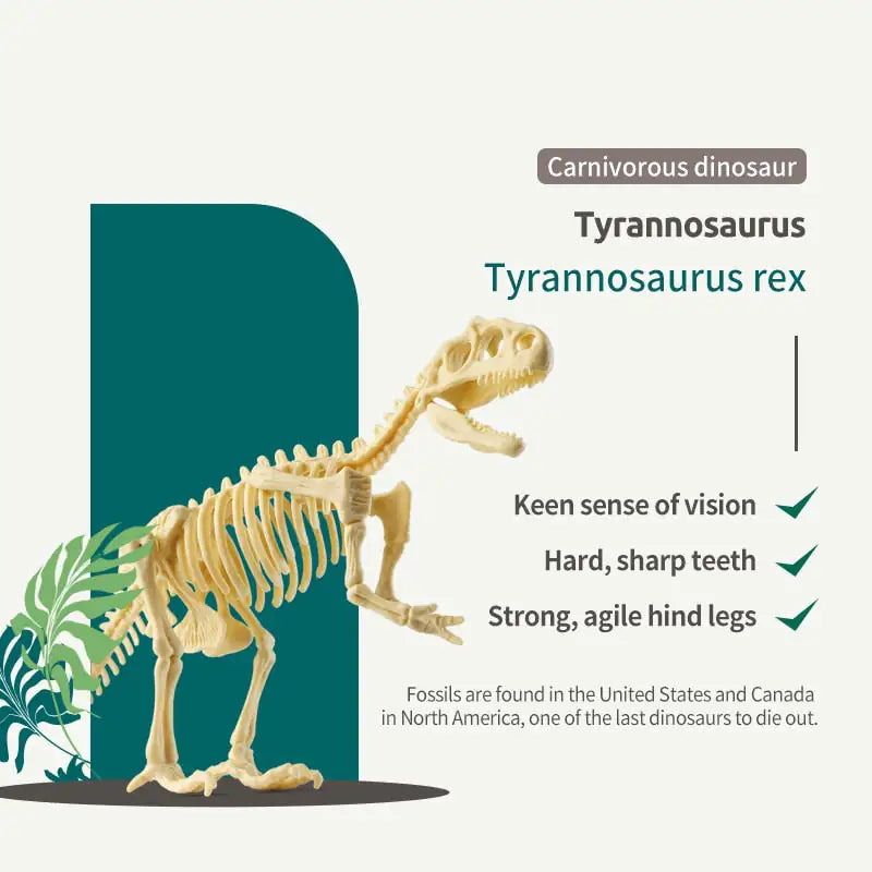 Dinosaur Fossils Archaeological Excavation Toy