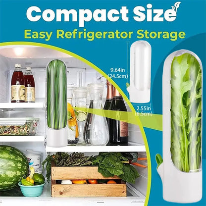 Herb Saver: Freshness Container For Kitchen Kia Day Design
