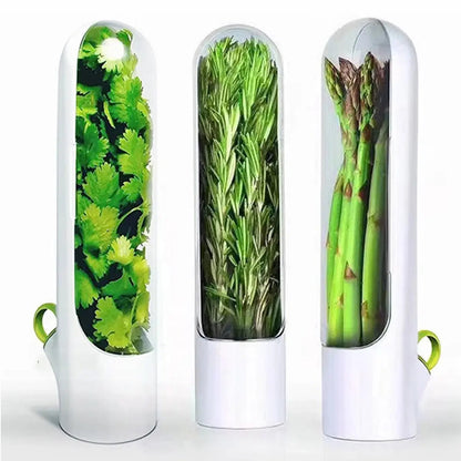 Herb Saver: Freshness Container For Kitchen Kia Day Design