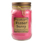 Winter Berry Candle - - Candles & Melts