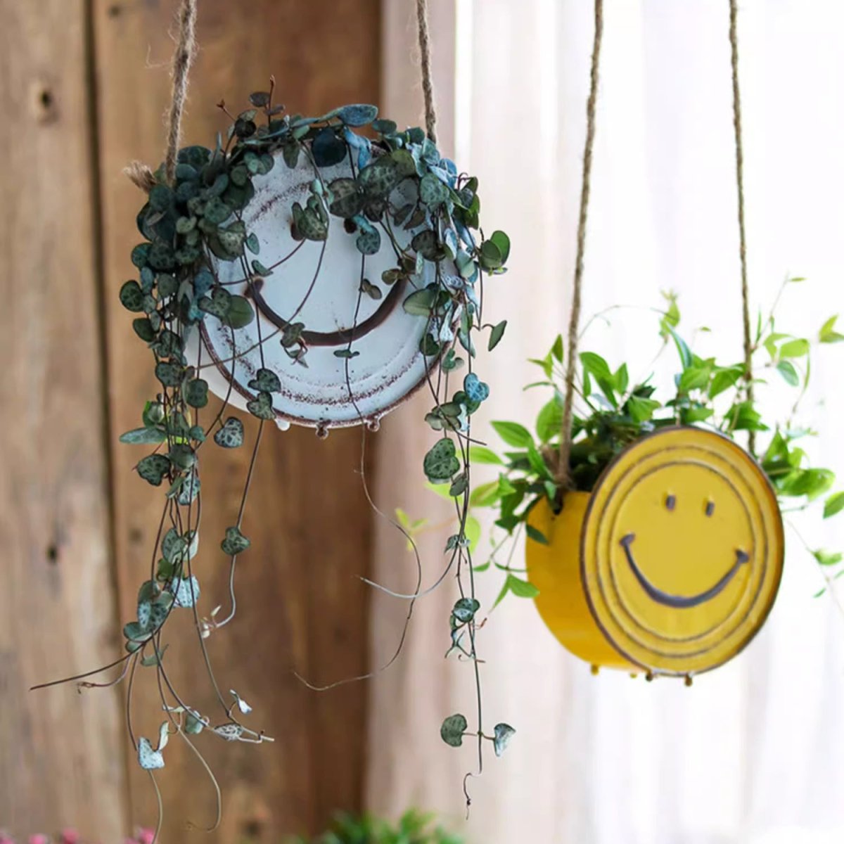 Happy Face Hanging Planter - -