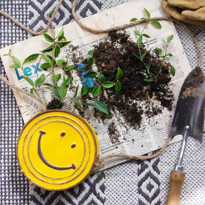 Happy Face Hanging Planter - Yellow -