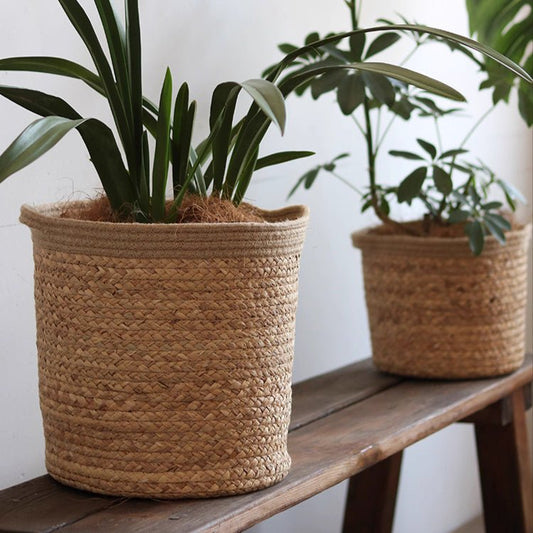 Natural Cylinder Storage and Planter Basket - - basket