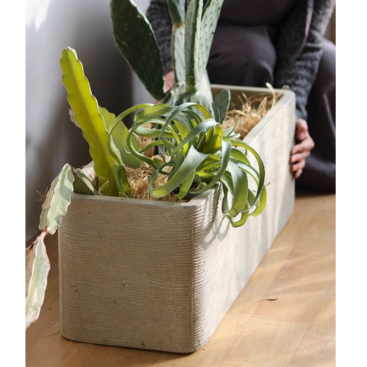 Modern Rectangular Textured Planter - -