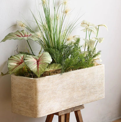 Modern Rectangular Textured Planter - -