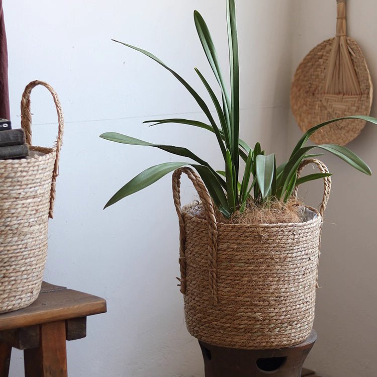 Handwoven Seagrass Basket for Plants - -