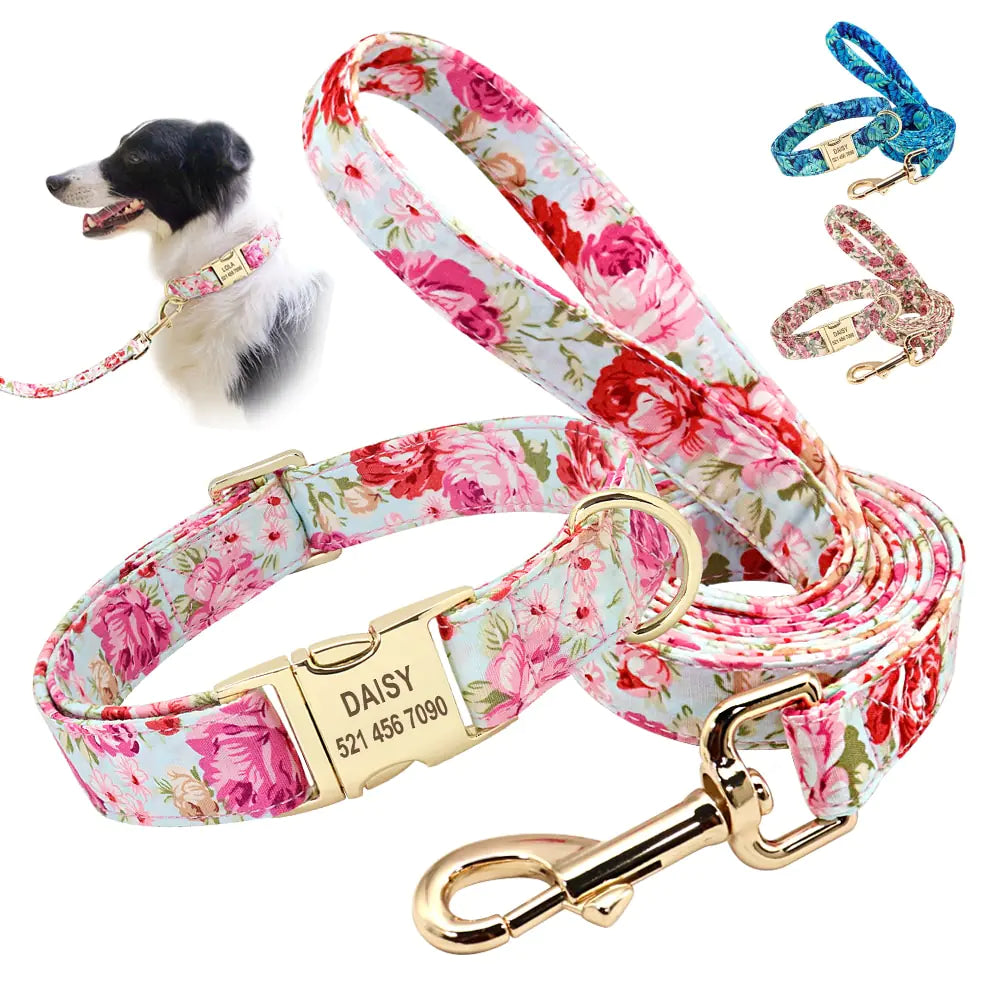 Printed Dog Collar and Leash Set