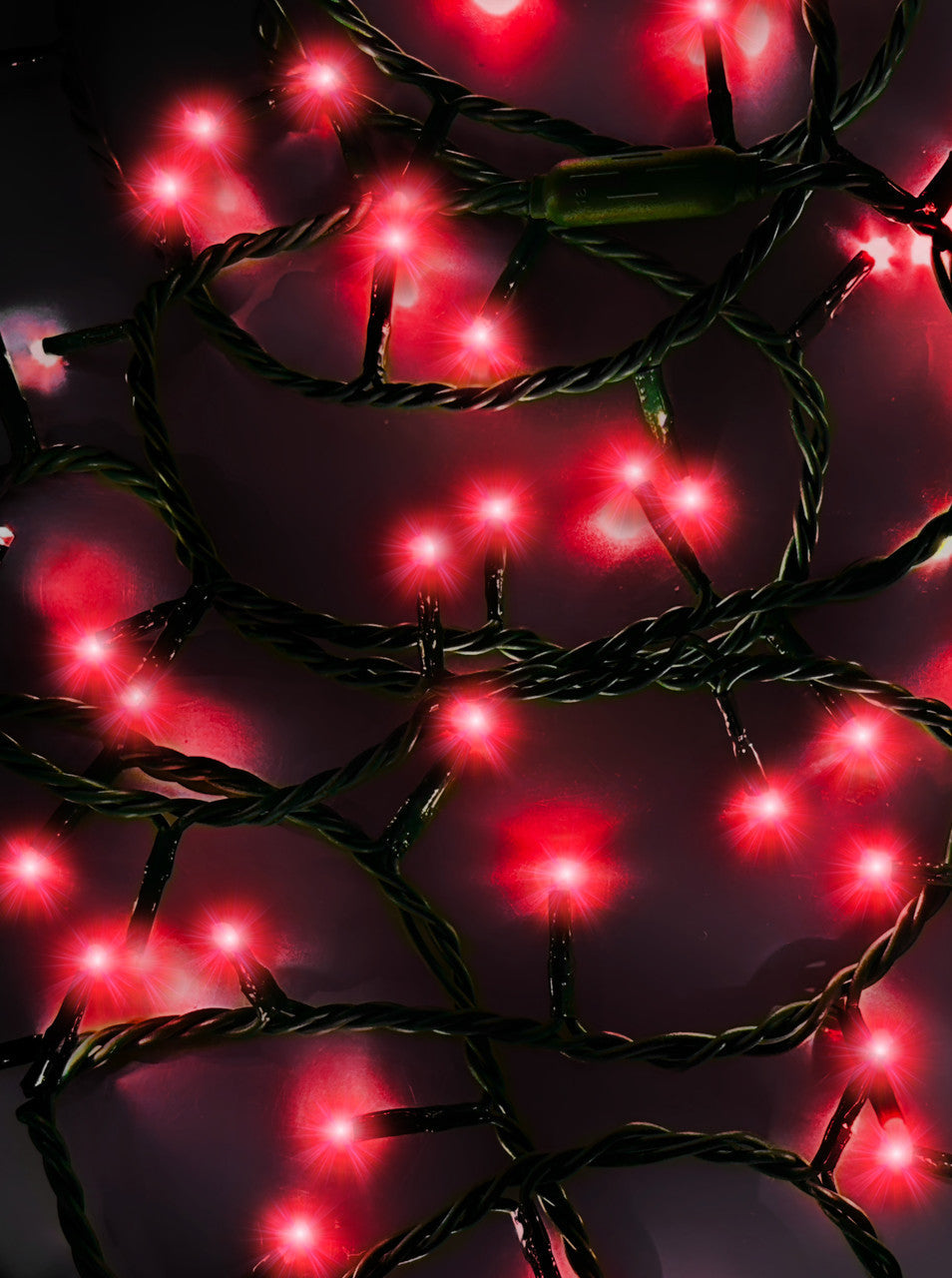 Jingle Bright 100 LED Light Set - Red - - Christmas >> Lighting
