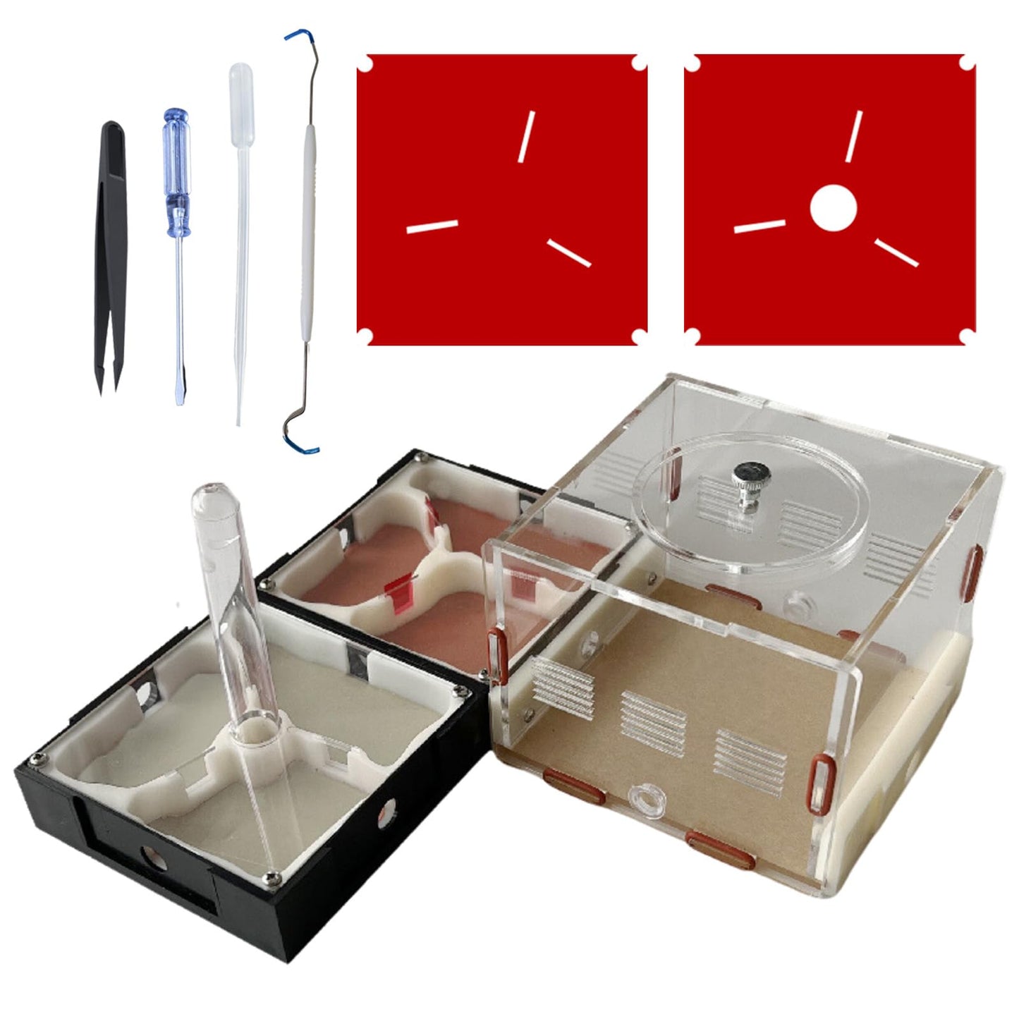 Ant Explorer STEM Kit: DIY Ant Habitat with Observation Tower - - ant farm