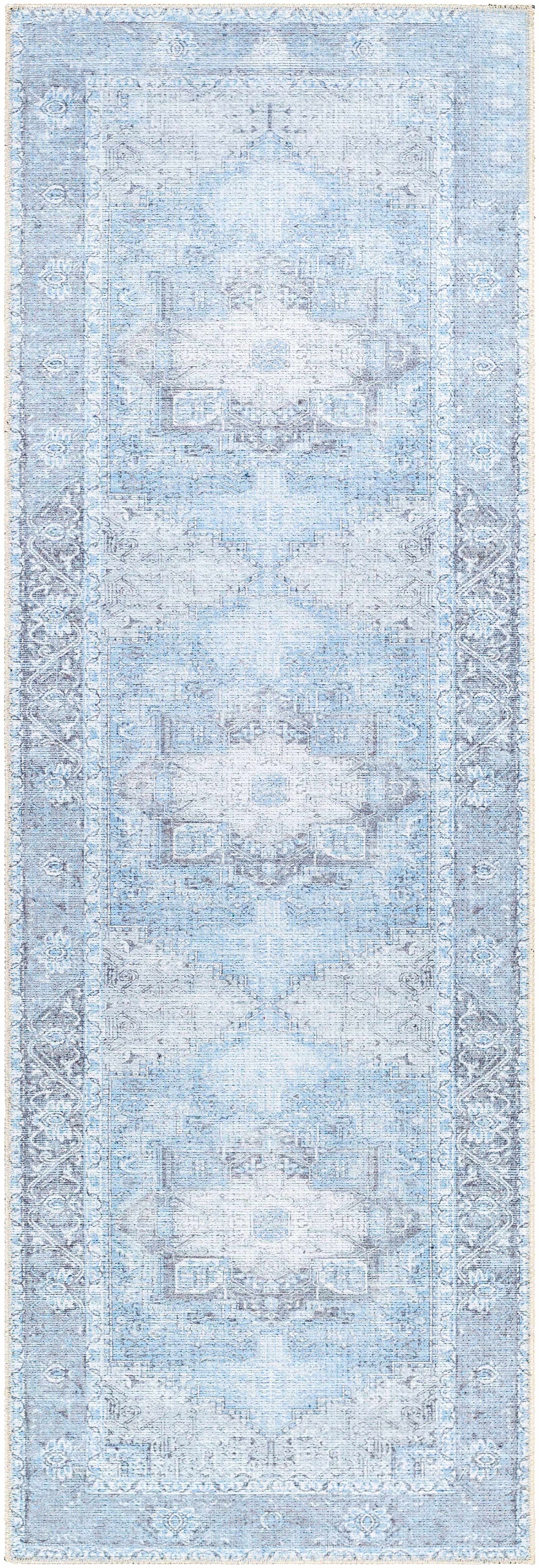 Aqua Rosman Washable Area Rug - - Rugs
