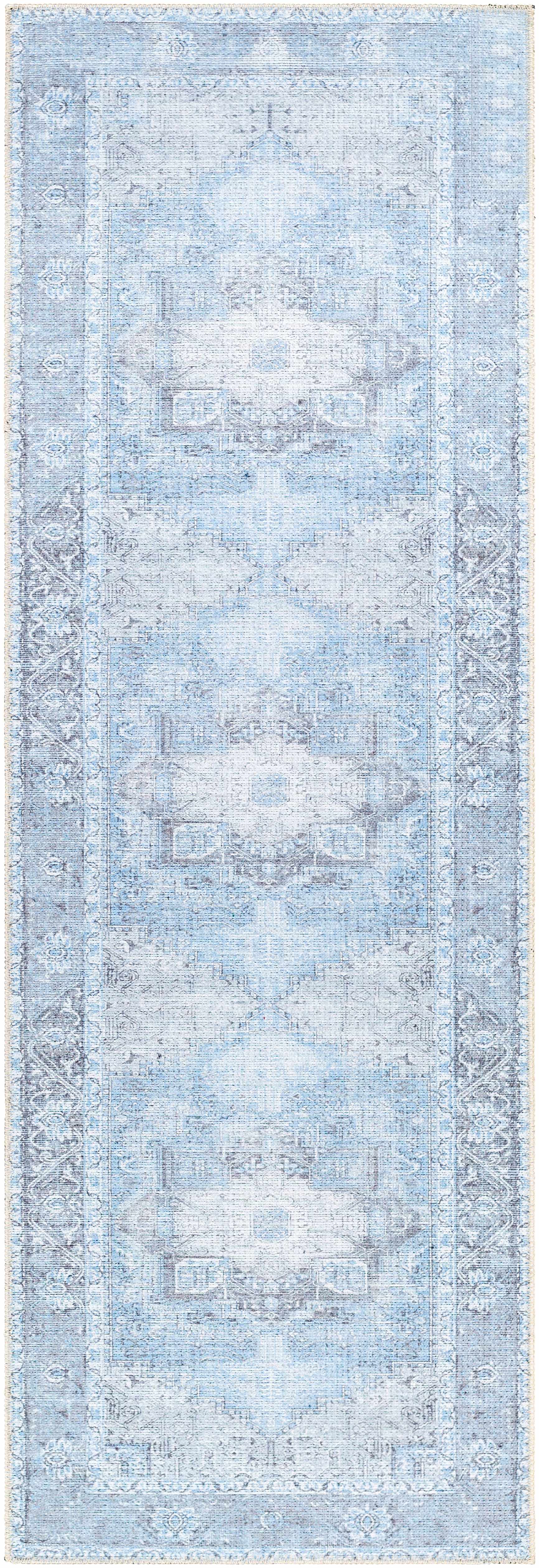 Aqua Rosman Washable Area Rug - - Rugs
