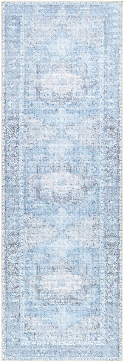 Aqua Rosman Washable Area Rug - - Rugs