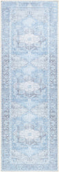 Aqua Rosman Washable Area Rug - - Rugs