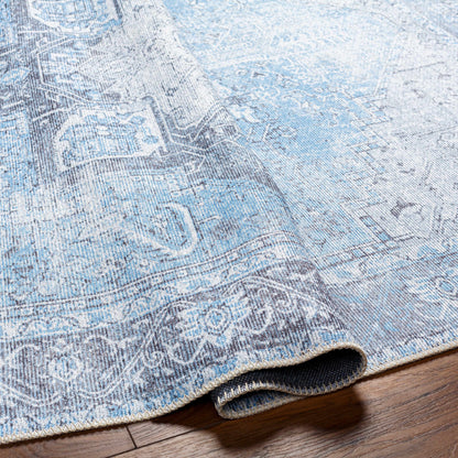 Aqua Rosman Washable Area Rug - - Rugs