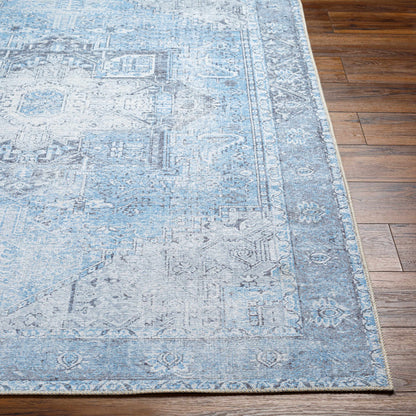 Aqua Rosman Washable Area Rug - - Rugs