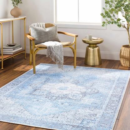 Aqua Rosman Washable Area Rug - - Rugs