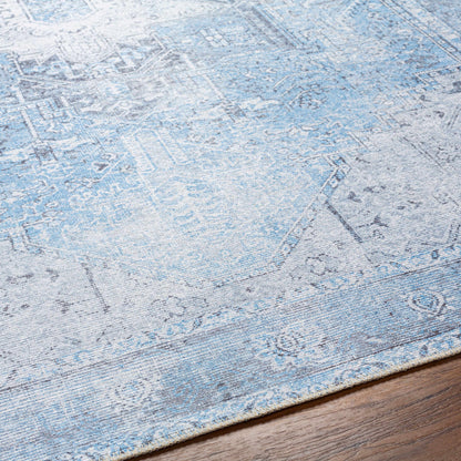 Aqua Rosman Washable Area Rug - - Rugs