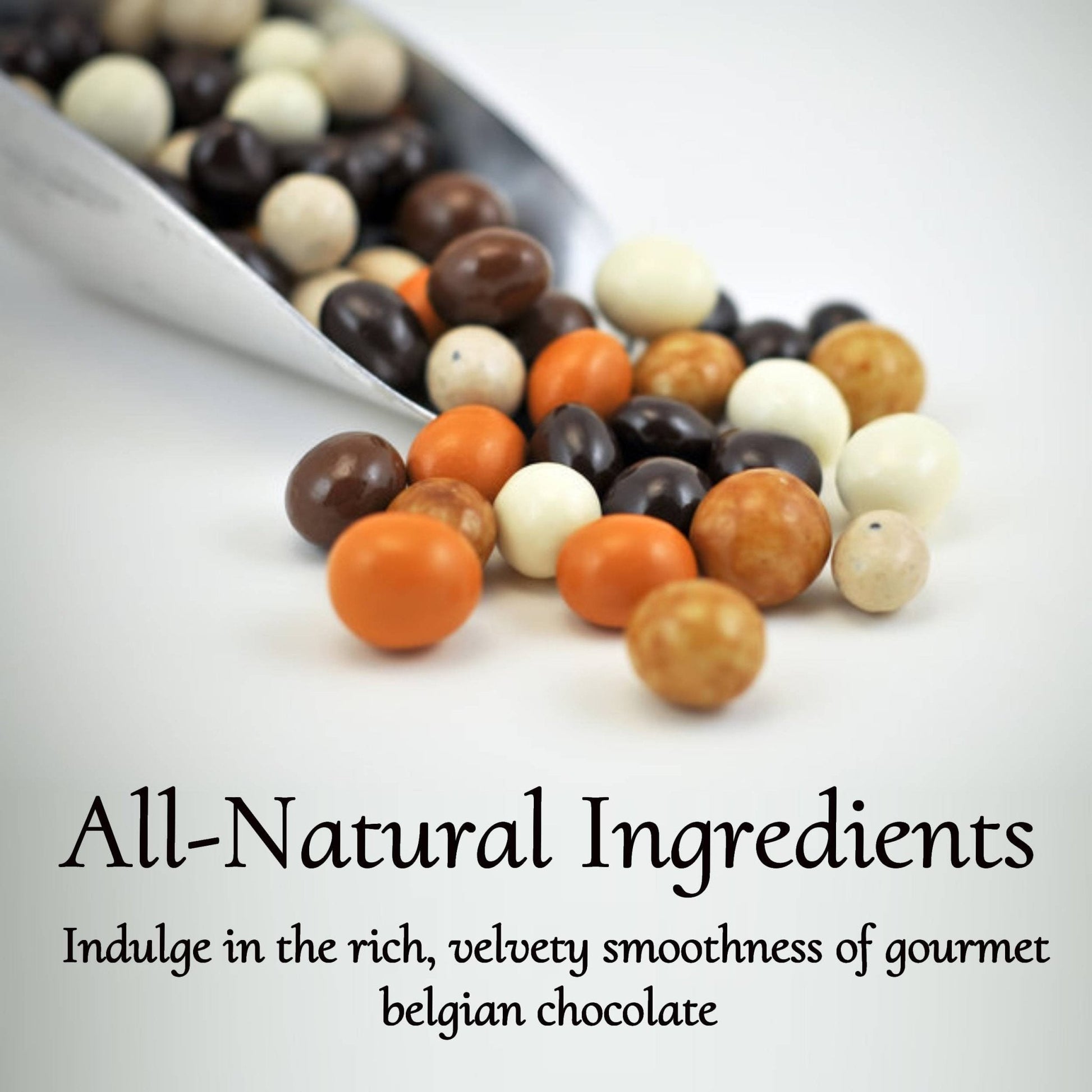 Andy Anand Espresso Coffee Belgian Chocolate Assortment, 5 Flavors, 1 lb – 60% Cocoa Butter, Gourmet Gift Box, Birthday & Holiday Occasions - - Food & Beverages > Desserts & Sweets > Chocolate