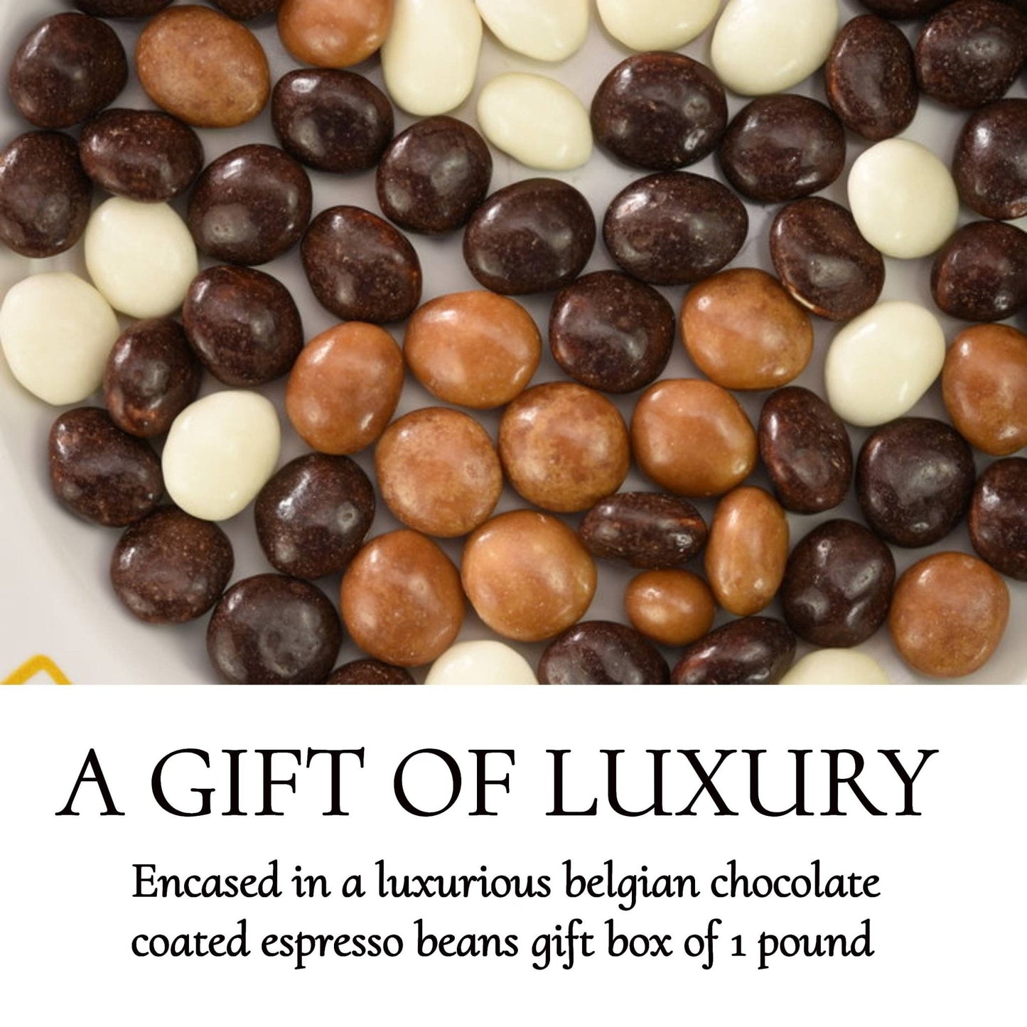 Andy Anand Espresso Coffee Belgian Chocolate Assortment, 5 Flavors, 1 lb – 60% Cocoa Butter, Gourmet Gift Box, Birthday & Holiday Occasions - - Food & Beverages > Desserts & Sweets > Chocolate