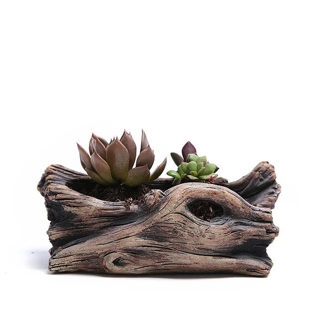 Driftwood Planter Wood Vintage Plant Container Cement Flower Pot