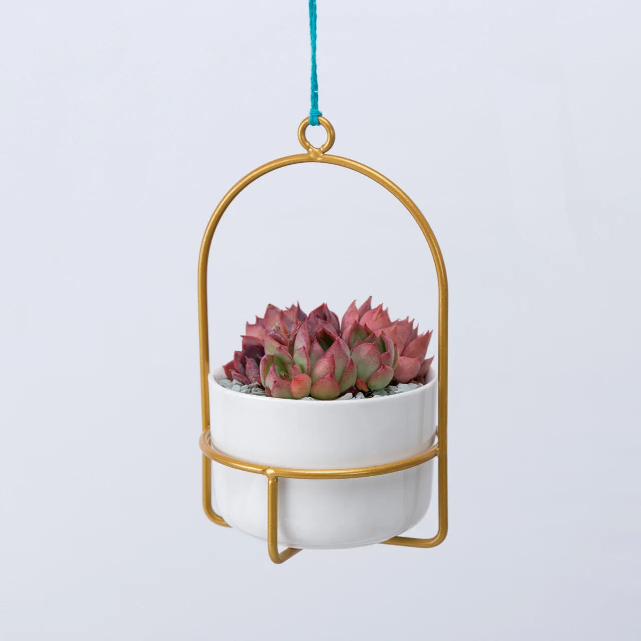 Mini Hanging Planters for Window 3.9" Ceramic Plant Pot With Metal Hangers