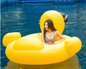 Giant Sunglasses Duck Pool Float - Yellow - pool float