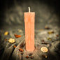 Derevo Zhyttya Tree of Life Candle Spell Kit - Growth & Connection - Pink (Love) - Candle Spell Kit