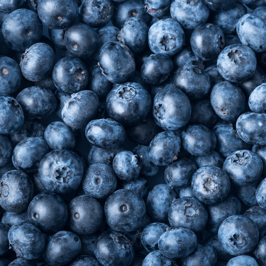 Berry Seed Collection Elderberry Blueberry Strawberry - - Seeds