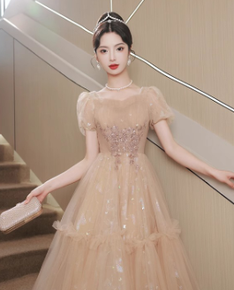 Elegant Summer Fairy Embroidered Dress - - dress