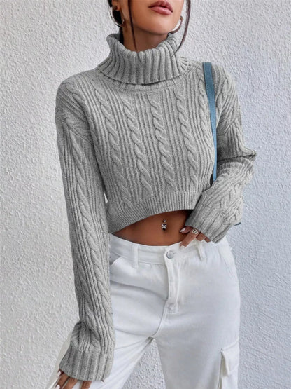 Cable-Knit Turtleneck Long Sleeve Sweater - -