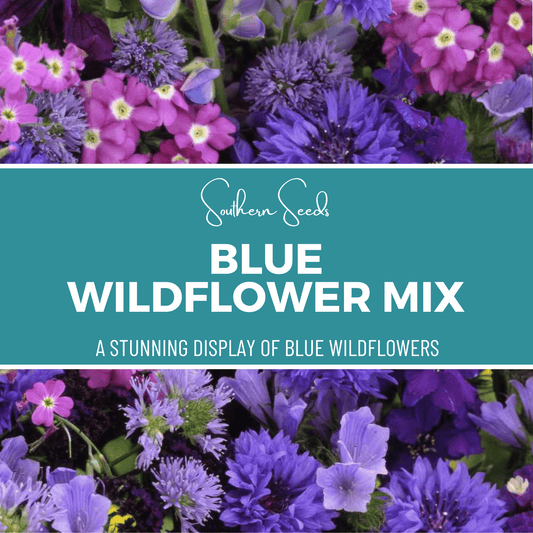Blue Wildflower Seed Mix – 100 Seeds - - Seeds