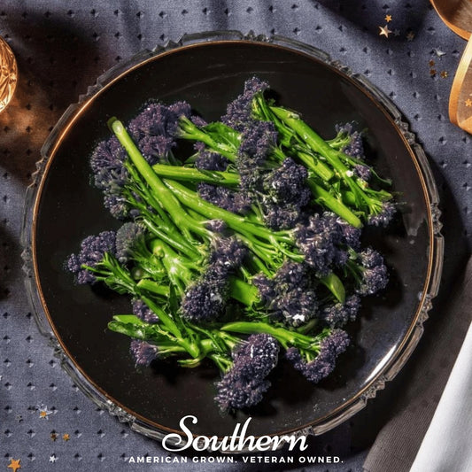 Purple Sprouting Broccoli – 100 Seeds - - Seeds