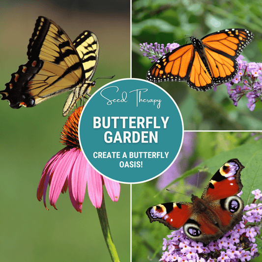 Butterfly Garden Seed Collection – 10 Varieties - - Seeds