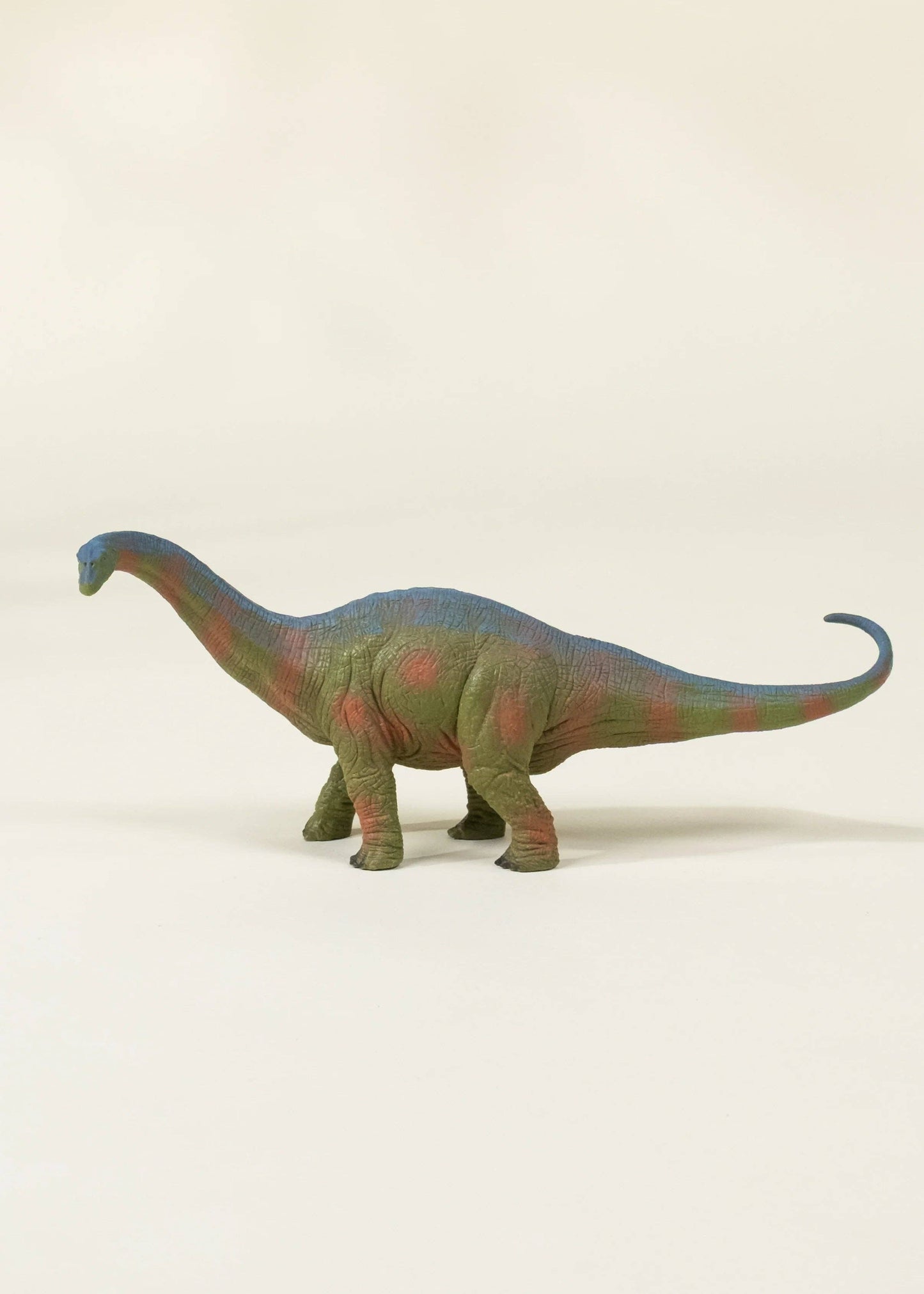 Brachiosaurus Dinosaur in a Collectible Box - -