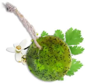 Speckless Soap Bar Chia Lemon Parsley and Coconut Oil - Kia Day Design