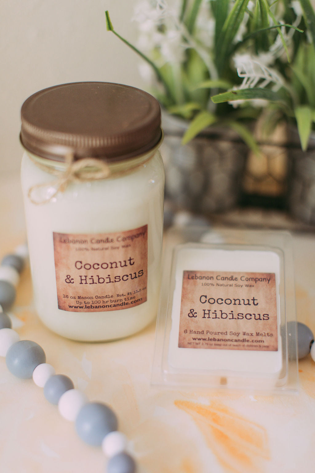 Coconut & Hibiscus Candle - - Candles & Melts