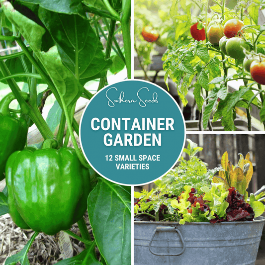 Container Garden Seed Collection – 12 Varieties - - Seeds