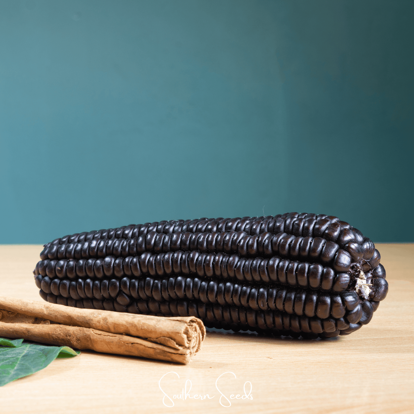 Morado Montana Maize Corn – 25 Seeds - - Seeds