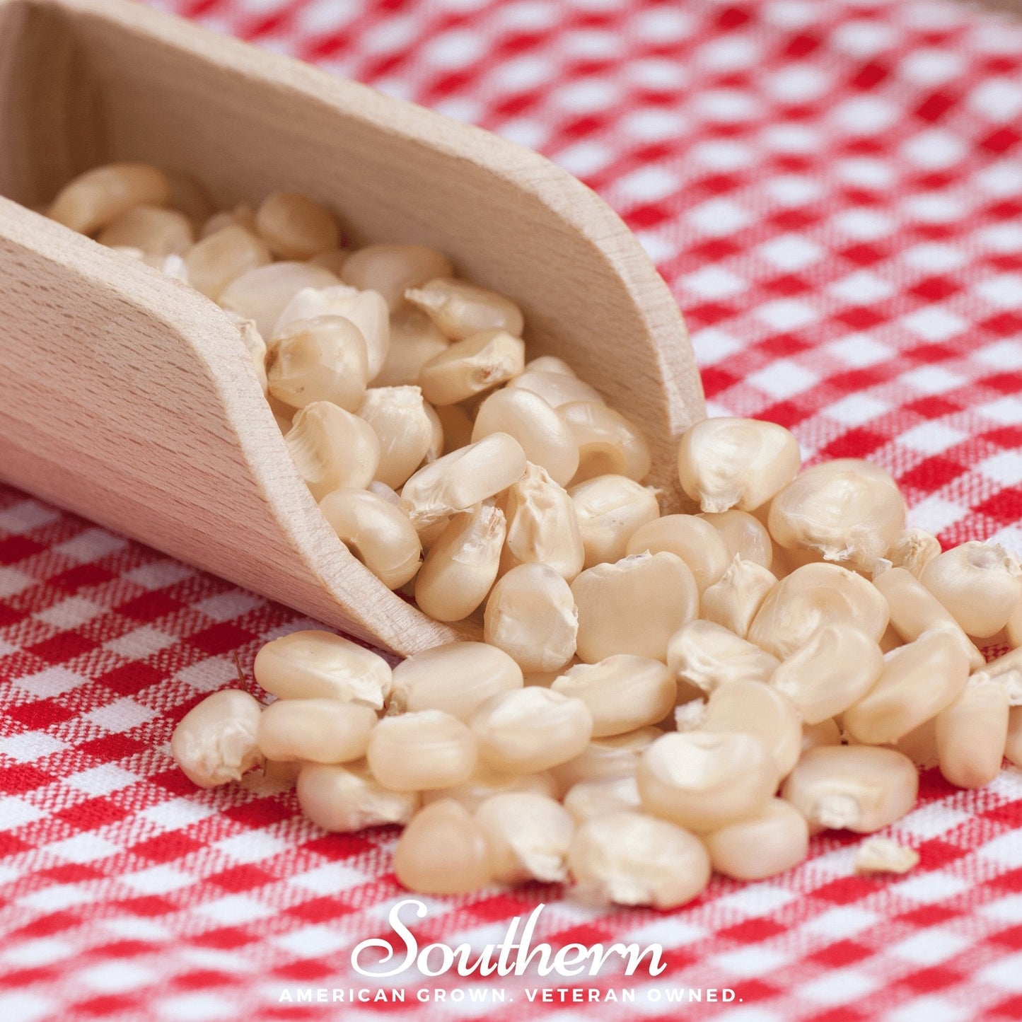 Stowells Evergreen Sweet Corn – 30 Seeds - - Seeds