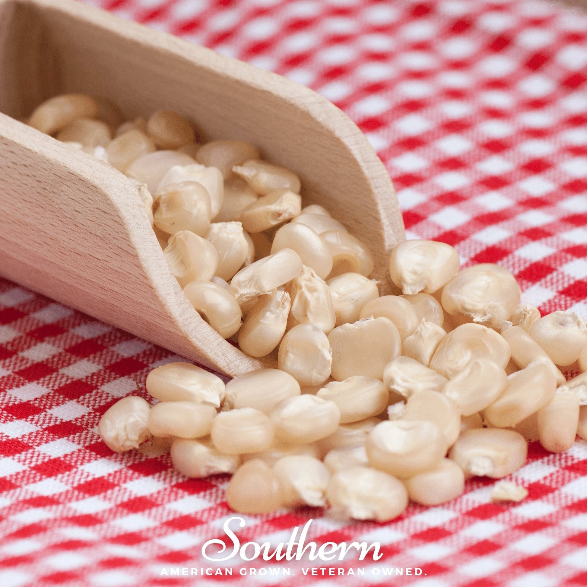 Stowells Evergreen Sweet Corn – 30 Seeds - - Seeds
