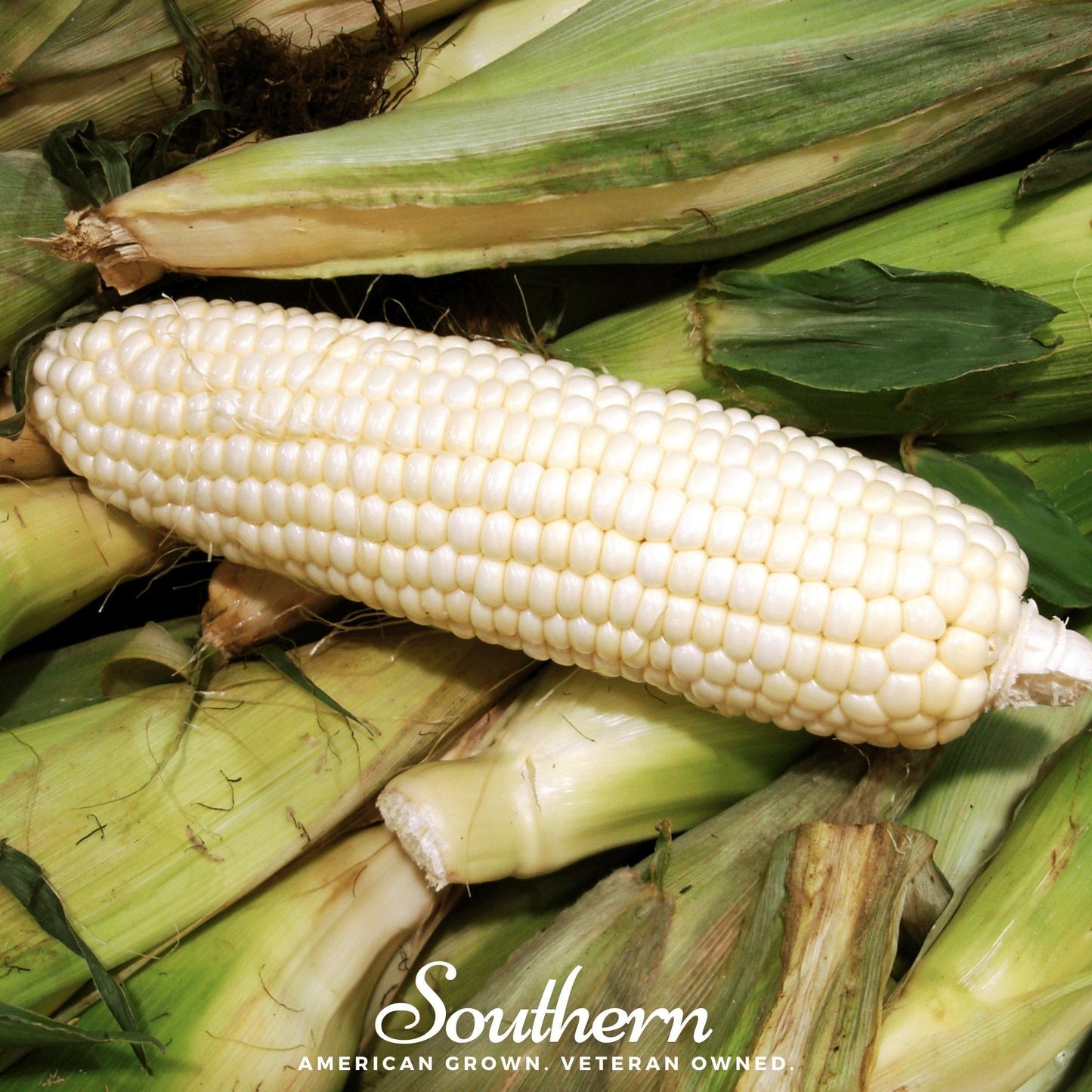 Stowells Evergreen Sweet Corn – 30 Seeds - - Seeds