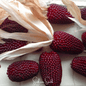 Strawberry Corn – 30 Seeds - - Seeds