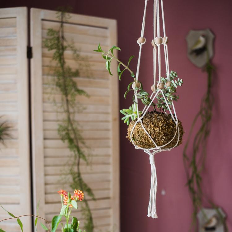 Cotton Hemp Rope Planter Hanger - -