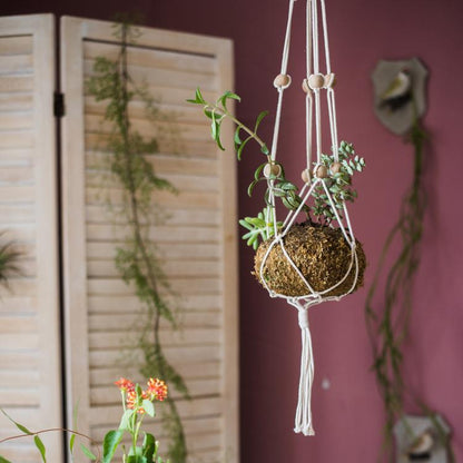 Cotton Hemp Rope Planter Hanger - -