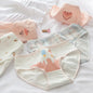 5-Pack Cotton Panties for Women - Plus Size Cute Soft Briefs Sexy Lingerie - 14 -