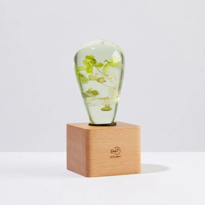 HydraGlow Lamp Kia Day Design