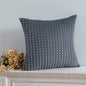 Solid Color Throw Pillow Cases Velvet - - ST50DE7258KSN