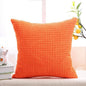 Solid Color Throw Pillow Cases Velvet - - ST50DE7258KSN